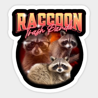 Raccon trash Panda Sticker